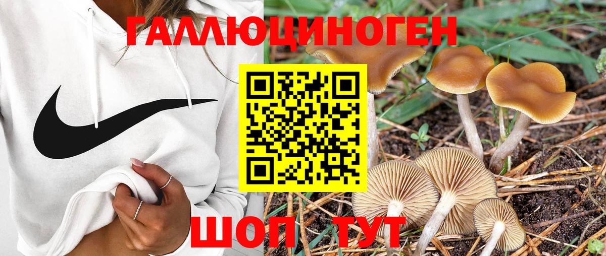 закладки  Вход с VPN  Сарапул  Псилоцибиновые грибы мухоморы 